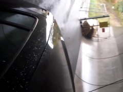 Doggy car